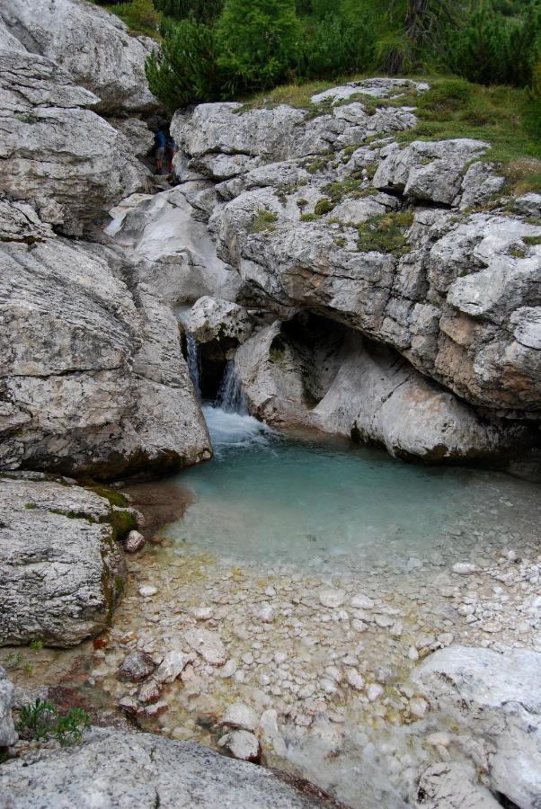 Appartamenti Chalet Orchidea Canazei Zewnętrze zdjęcie