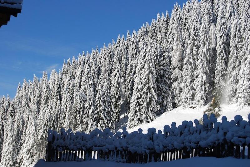 Appartamenti Chalet Orchidea Canazei Zewnętrze zdjęcie