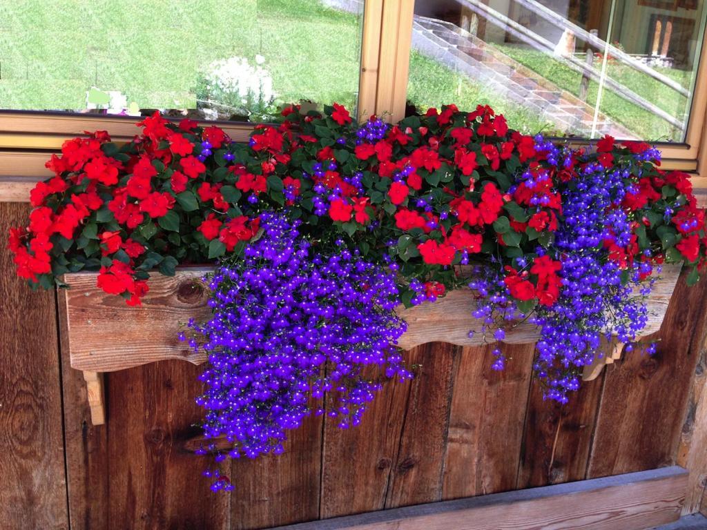 Appartamenti Chalet Orchidea Canazei Zewnętrze zdjęcie