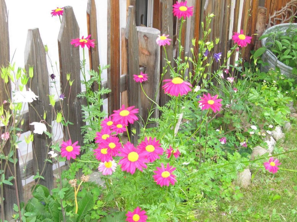 Appartamenti Chalet Orchidea Canazei Zewnętrze zdjęcie